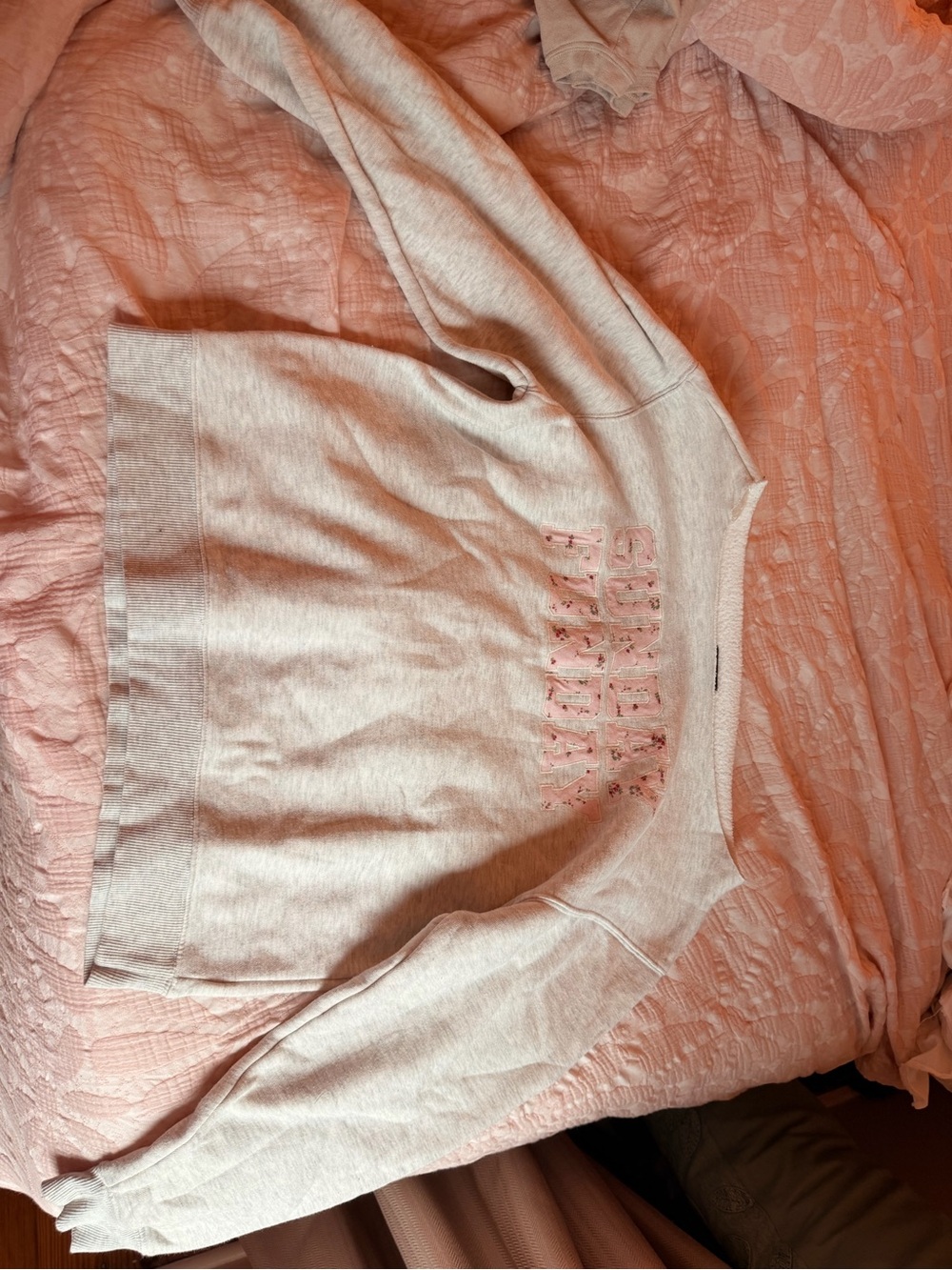 wild fable Light Pink Pullover Sweatshirt with Embroidered Front